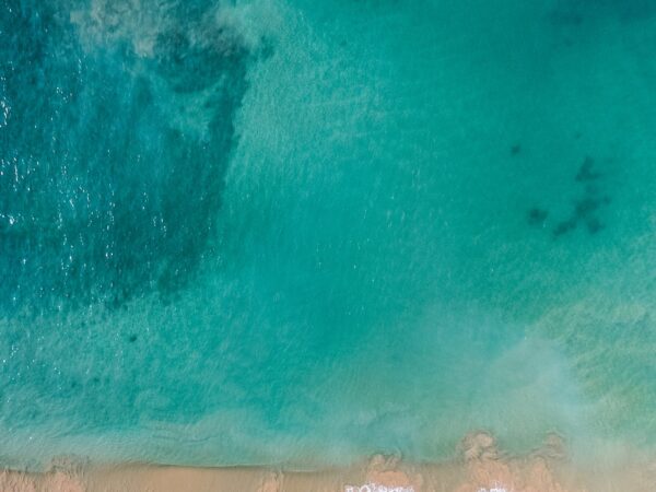 pexels-oliver-sjöström-1078981 多選項商品